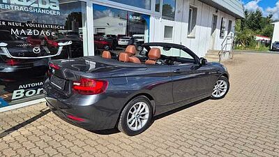 BMW 2 Cabrio (F23) 218 i Advantage