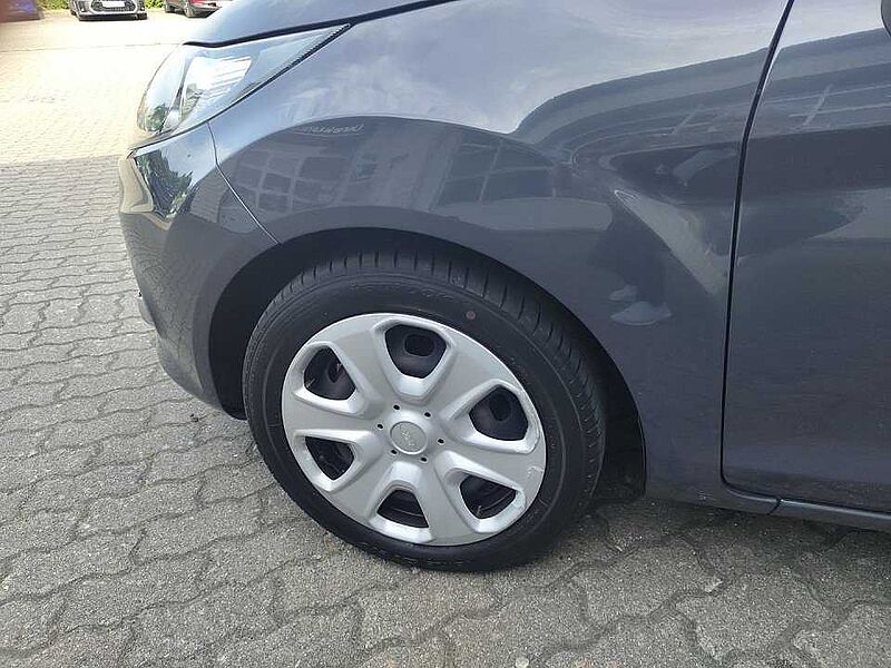 Ford Fiesta Champions Edition