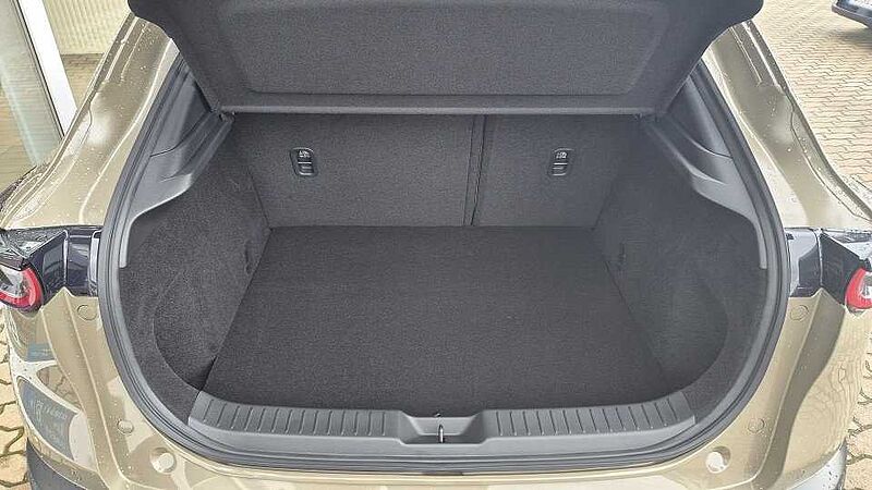 Mazda CX-30 2.5L e-SKYACTIV G 140ps 6AT FWD Nagisa